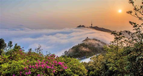 梧桐山|梧桐山风景名胜区